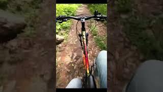 MTB Downhill #adventureawaits #mtb #offroadcycling #mountainbiking #mtbaction #bikingcommunity