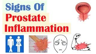 Prostate Inflammation Signs & Symptoms & Why They Occur