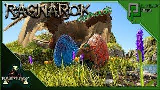 Ark Ragnarok Nomads 81 - STEALING WYVERN EGGS - NO DODOS HARMED