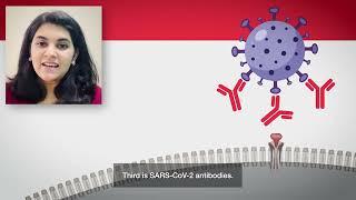 Expand your knowledge with Q&A Questions & Antibodies - Innovation Insights series