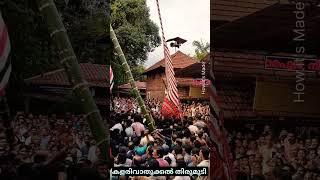 ആവേശമുയർത്തി കളരിവാതുക്കൽ തിരുമുടി  Kalarivathukkal Thirumudi  Biggest theyyam headgear