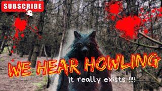 PARANORMAL VLOG Cannock Chase  WEREWOLF sighting … SCARY 