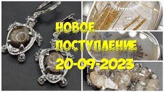 Новое поступление 20-09-2023