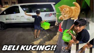 DIMAS MINTA BELI KUCING..