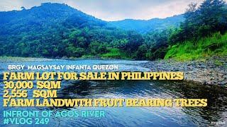 #vlog249 FARM LOT FOR SALE INFRONT OF AGOS RIVER WITH LOTS OF FRUIT BEARING TREES 32556 SQM