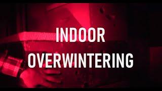 Indoor Overwintering