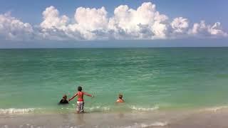 Dolphins chase boys from surf at Sanibel Island