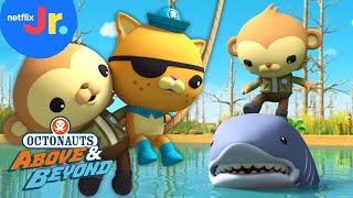 Alligator-Shark Showdown  Quest for Cocoa  Octonauts Above & Beyond FULL EPISODE