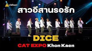 4K DICE - สาวอีสานรอรัก @ CAT EXPO Khon Kaen 2024 #ระวังโดนตก 
