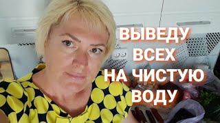 Пришло время собирать камни  Влоги с юга