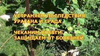 Устраняем последствия урагана и града. Делаем чеканку и обработку