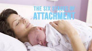 The Six Stages of Attachment Parenting