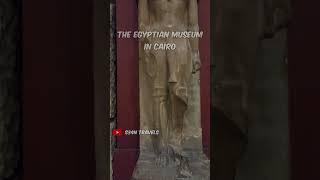 The Egyptian Museum in Cairo - Daily Memes  Short