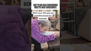 Never too old to find your soulmate  #pets #funnyanimals