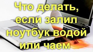 Что делать если залил ноутбук водой или чаем