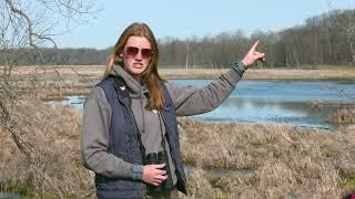 Seasons of the Marsh Spring - Guided Tours at the Mentor Lagoons Nature Preserve
