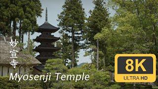 Myosenji Temple - Sado - Niigata - 妙宣寺