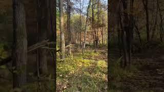 NEW PROPERTY—Hunting location to build as leaves drop