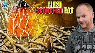 Did I just get super Lucky Wyvern egg Steal - Scorched Earth