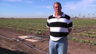 Yuma Agricultural Research Center