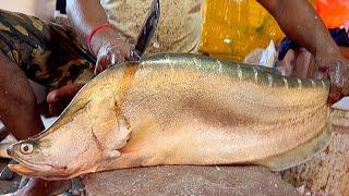 Amazing Giant Clown Knife Fish Cutting Live In Fish Market  Fish Market Bangladesh