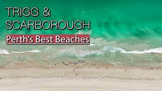 Trigg & Scarborough 2023  Perths Best Beaches4K