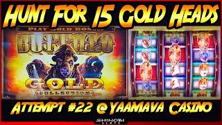 Hunt for 15 Gold Heads Episode #22 on Buffalo Gold 3-Reel  First Time Playing 3-Reel Version