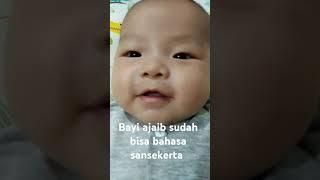 bayi sudah bisa bahasa sansekerta #babyboy #baby #babyvideos #cutebaby #babyshorts