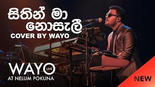 WAYO Live Sithin Ma Nosali සිතින් මා නොසැලී Cover