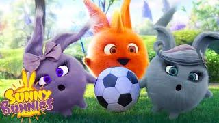 SUNNY BUNNIES - Magic and Football  Season 5  Cartoons for Children