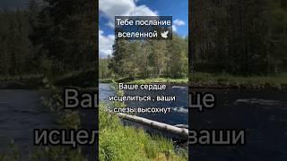 Принимай в комментариях с щедростью БЛАГО ДАРЯ из любви к СЕБЕ #чудесавселенной #изобилие #любовь