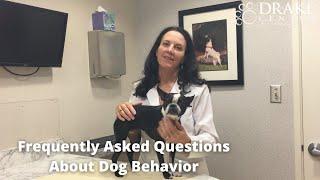 Frequently Asked Questions About Dog Boarding