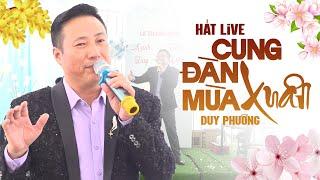 Cung Đàn Mùa Xuân - Duy Phường  Cả Hội Trường Cưới Sôi Động Khi Nghe