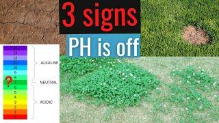 3 signs of HIGH soil PH & How to fix it