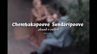 Chembakapoove Sundaripoove  slowed + reverb 