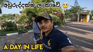 අවුරුද්දක්ම ලංකාවේ   A day in life vlog  #thesailor #dayinthelife