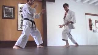 Tanden  the most important - Rick Hotton sensei