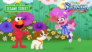Sesame Street Abby’s Sugar Plum Fairy Song from The Nutcracker Starring Elmo and Tango