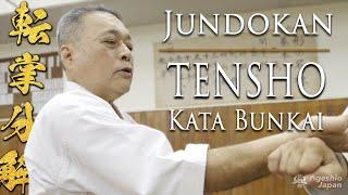 Goju-ryu Karate Kata  Tensho  Bunkai  Okinawa Karate Grand Master  Ageshio Japan