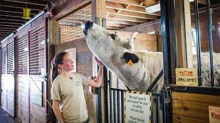 Life as a Zookeeper at the Franklin Park Zoo