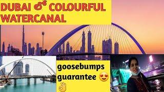 దుబాయ్ లో colourful గా మెరిసే waterfall  Vijaya Vlogs in Dubai