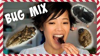 Day 4 Giant Water Bug Rhino Beetle Sago Worm Crickets -- 5 Days of Bug Eating