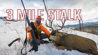 The most thrilling Colorado Mule Deer Hunt