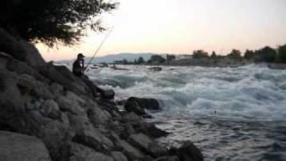 Barbel caught on savage gear  prey 69 lure