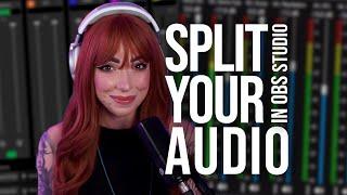 How to Split Your Microphone Game Sound Music Voice Chat & MORE in OBS