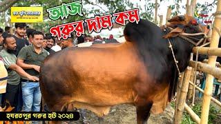 হযরতপুর হাটে আজ বড় বড় গরুর দাম কম কোরবানির গরু ২০২৪