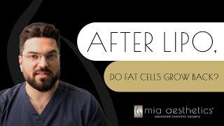 Do Fat Cells Grow Back After Lipo?  Mia Aesthetics