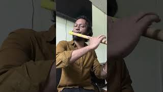 Immersive Slow Flute Experience - Live Performance  Flute Sumon