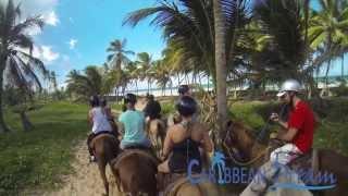 Horseback Riding on the Beach  Punta Cana Tours