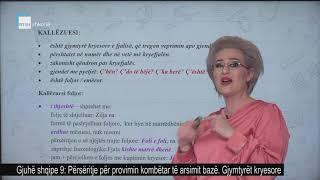 Gjuhë shqipe 9 - Përsëritje për provimin kombëtar të arsimit bazë. Gjymtyrët kryesore.
